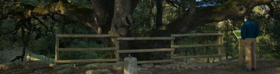 Leyenda de la carrasca de Lecina