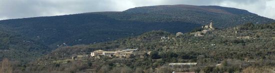 Selva de Almazorre