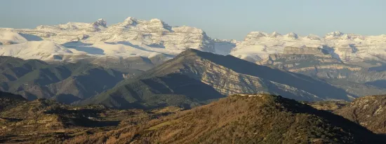 Sarsa de Surta