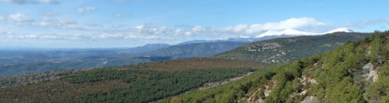 Nature dans le Parc Culturel