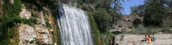 Sotos del río Vero
