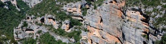 Abrigos de Gallinero