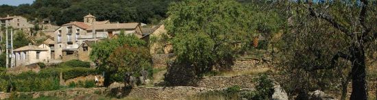 Betorz