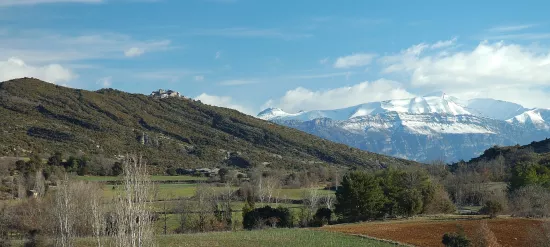 Eripol